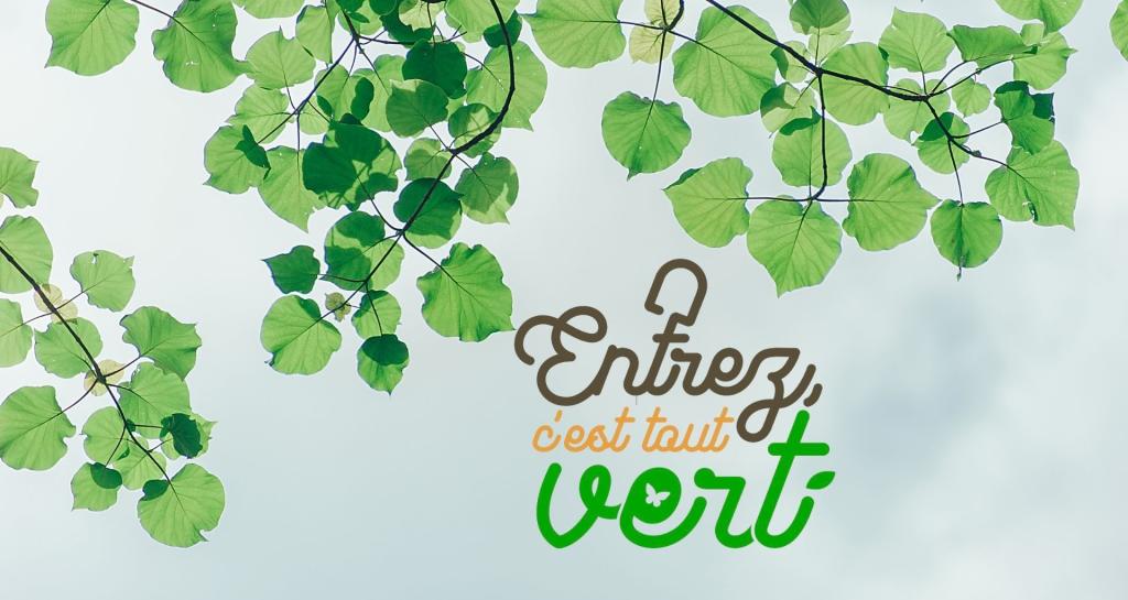 Entrez c'est tout vert ! - 14/09/2024