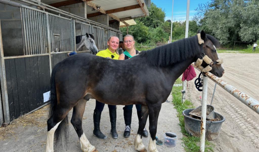 Les Testeurs misent sur le bon cheval (5/5)