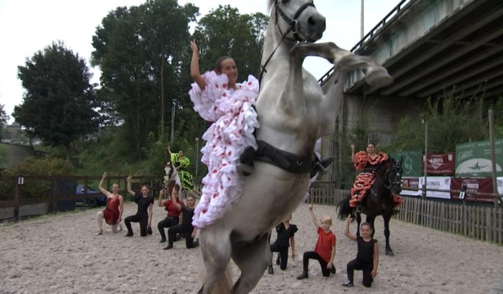 Feria à Grâce-Hollogne: le spectacle Lar'Allegria les 16 et 17 août