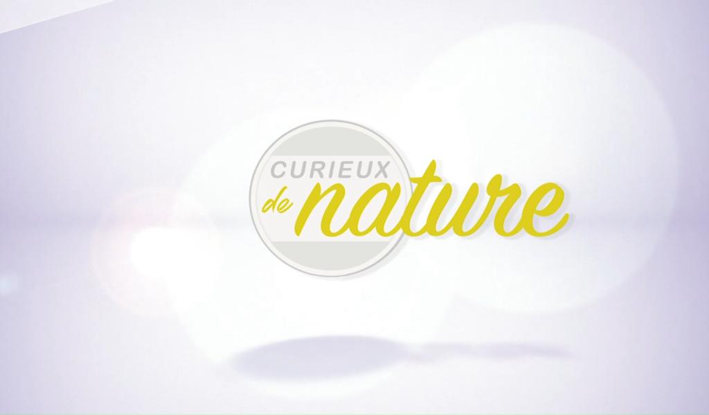 Curieux de nature