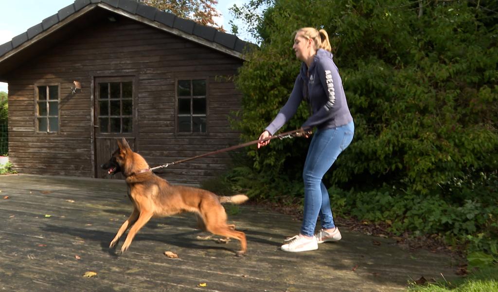 Trucs de Wouf : la réactivité dans le jardin