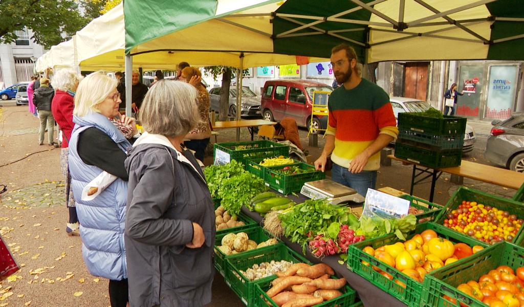 Journée de l'alimentation durable et inclusive