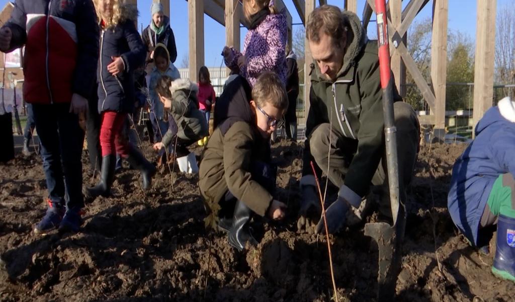 300 arbres pour une mini-forêt à Xhendremael