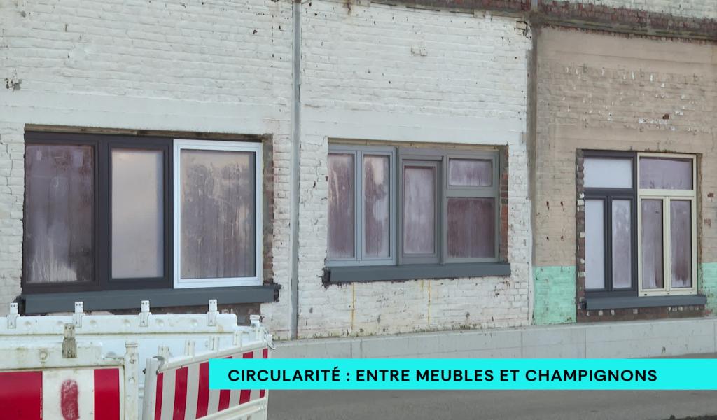 Une façade, des meubles et des champignons. Mutation circulaire de l'ex-site des ACEC à Herstal