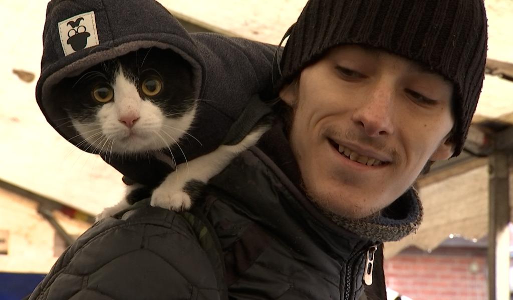 Noël des animaux au Resto du coeur de Liège