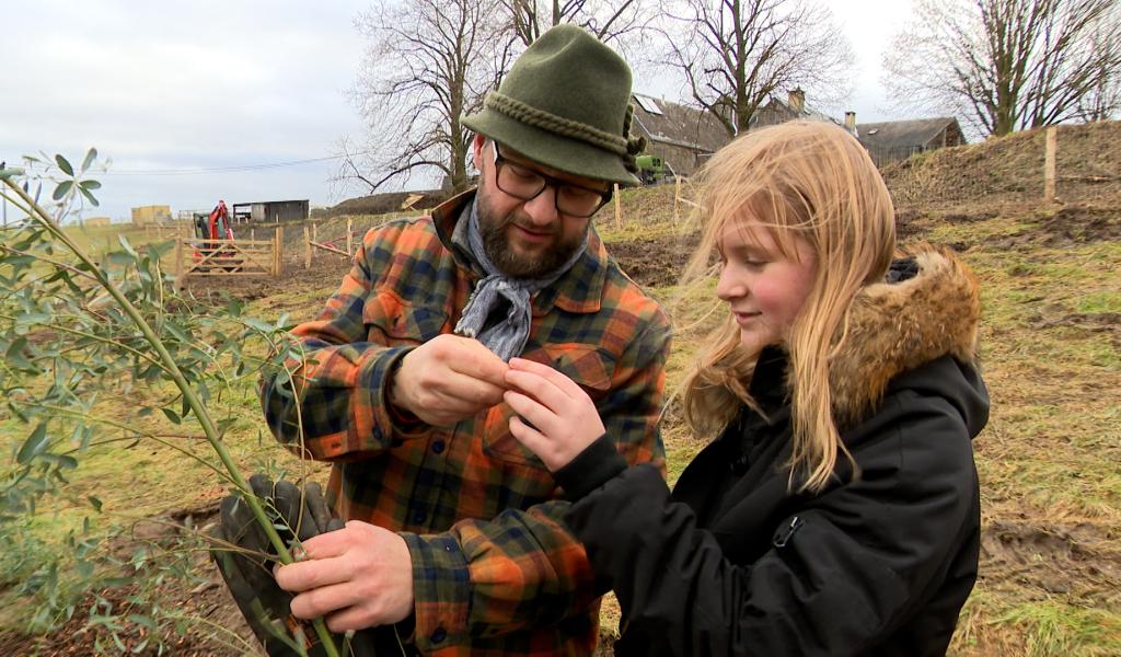 Plantation d'une forêt comestible à Aywaille