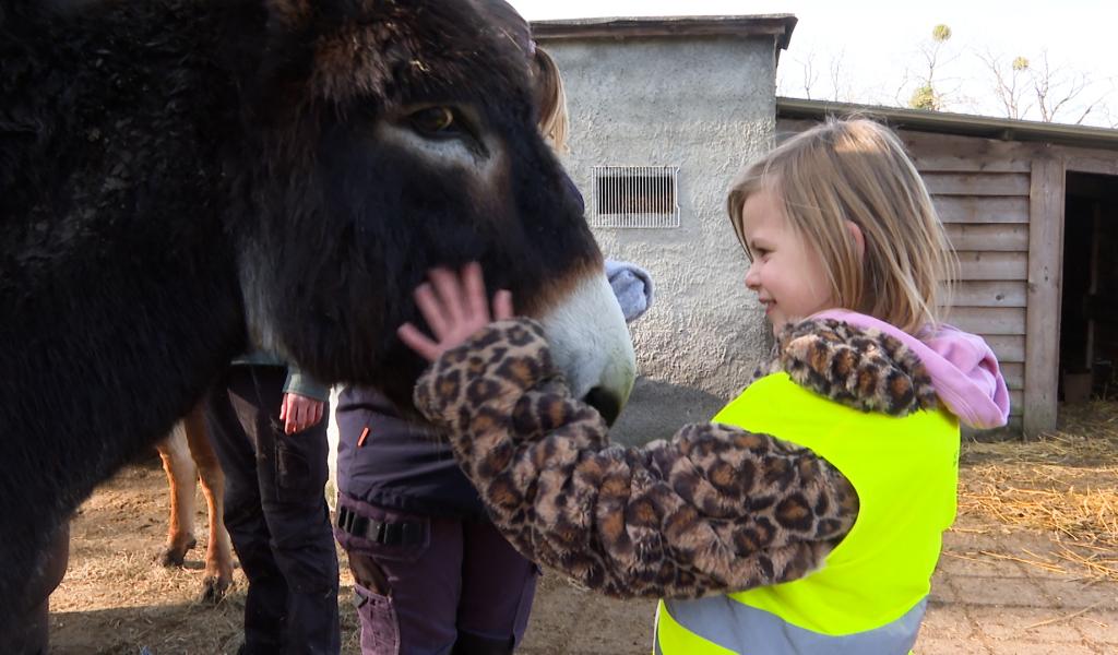 Stage à La Ferme des Enfants