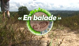 "En balade" : la balade mystère du guide "Liège à pied" 