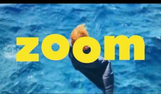 Zoom - 01/10/2024