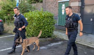 Deux chiens pour renforcer les rangs de la police de Huy