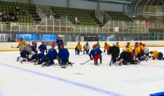 Nouvelle saison, nouveau capitaine, nouveau coach pour les Bulldogs 