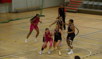 Les Panthers, trop jeunes, craquent contre Charleroi