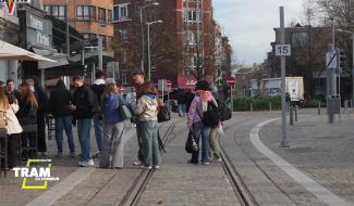 Tram en commun S7#9 : Expert de ligne du tram