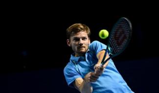 David Goffin de retour en double en Grand Chelem !