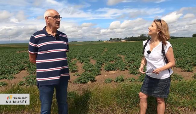 En Balade : la balade des champs ouverts à Merdorp 