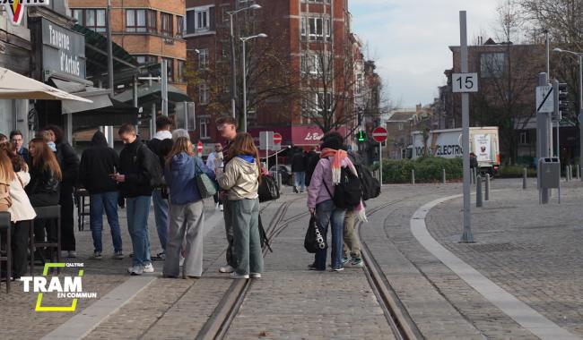 Tram en commun S7#9 : Expert de ligne du tram