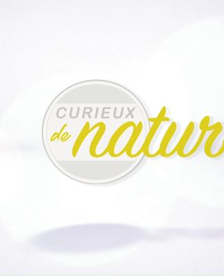 Curieux de nature