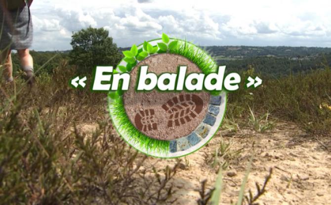 "En balade" : la balade mystère du guide "Liège à pied" 