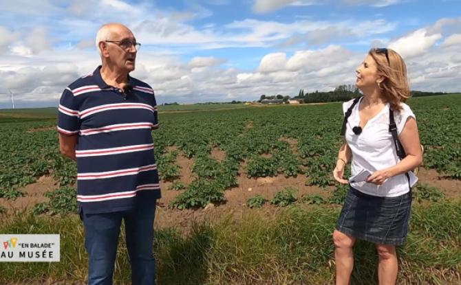 En Balade : la balade des champs ouverts à Merdorp 