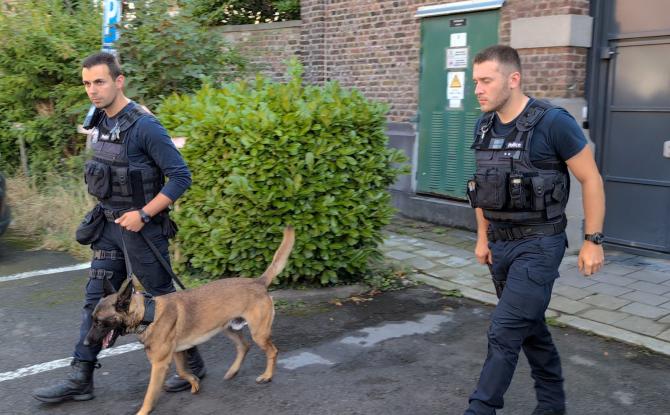 Deux chiens pour renforcer les rangs de la police de Huy