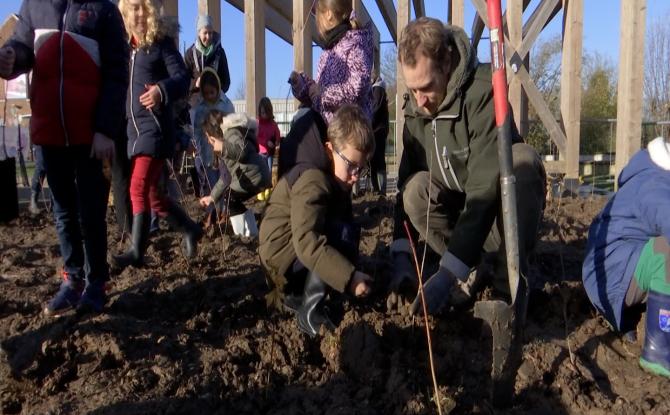 300 arbres pour une mini-forêt à Xhendremael