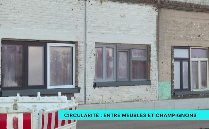 Une façade, des meubles et des champignons. Mutation circulaire de l'ex-site des ACEC à Herstal